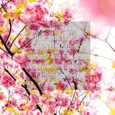 Picture 04 - Numbers 23:8 ASV - How shall I curse, whom God hath not cursed? And - Bible Verse Picture