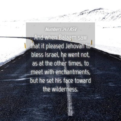 Picture 04 - Numbers 24:1 ASV - And when Balaam saw that it pleased Jehovah to - Bible Verse Picture