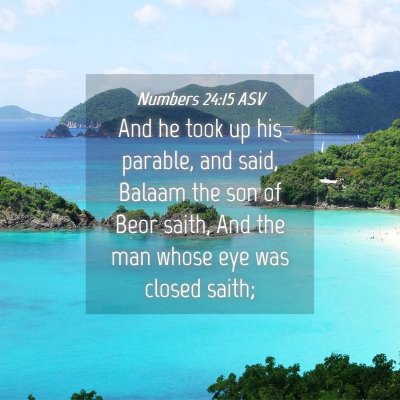 Picture 04 - Numbers 24:15 ASV - And he took up his parable, and said, Balaam the - Bible Verse Picture