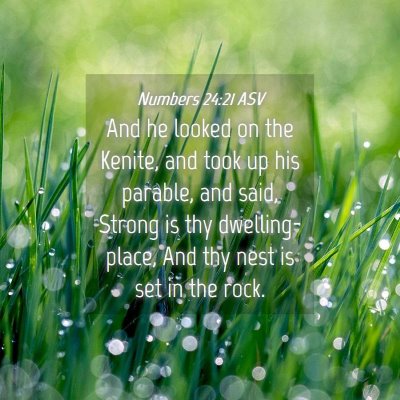 Picture 04 - Numbers 24:21 ASV - And he looked on the Kenite, and took up his - Bible Verse Picture