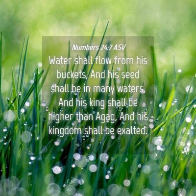 Picture 04 - Numbers 24:7 ASV - Water shall flow from his buckets, And his seed - Bible Verse Picture