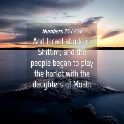 Picture 04 - Numbers 25:1 ASV - And Israel abode in Shittim; and the people began - Bible Verse Picture