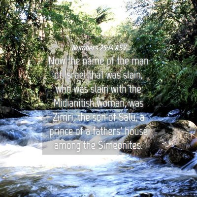 Picture 04 - Numbers 25:14 ASV - Now the name of the man of Israel that was slain, - Bible Verse Picture