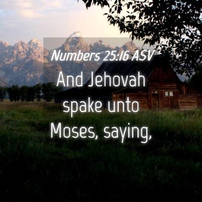 Picture 04 - Numbers 25:16 ASV - And Jehovah spake unto Moses, - Bible Verse Picture