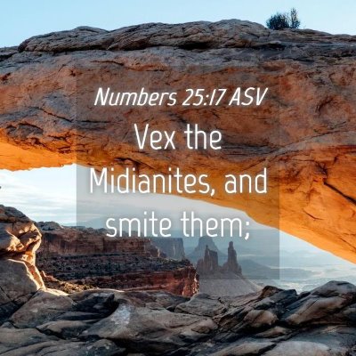 Picture 04 - Numbers 25:17 ASV - Vex the Midianites, and smite - Bible Verse Picture