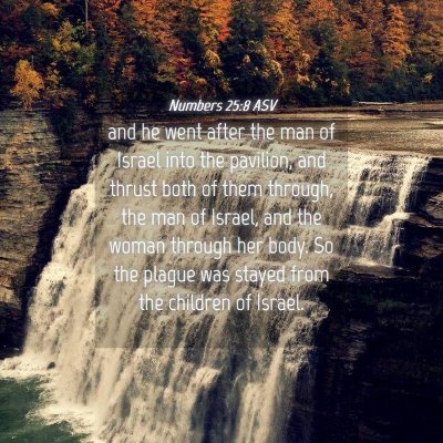 Picture 04 - Numbers 25:8 ASV - and he went after the man of Israel into the - Bible Verse Picture