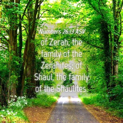 Picture 04 - Numbers 26:13 ASV - of Zerah, the family of the Zerahites; of Shaul, - Bible Verse Picture