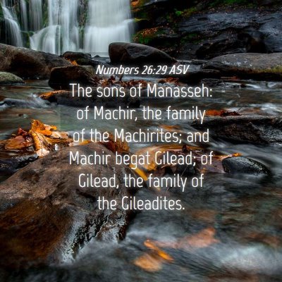 Picture 04 - Numbers 26:29 ASV - The sons of Manasseh: of Machir, the family of - Bible Verse Picture