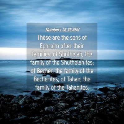 Picture 04 - Numbers 26:35 ASV - These are the sons of Ephraim after their - Bible Verse Picture