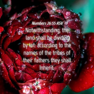 Picture 04 - Numbers 26:55 ASV - Notwithstanding, the land shall be divided by - Bible Verse Picture