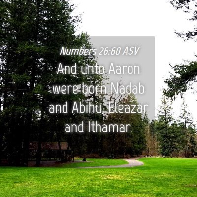 Picture 04 - Numbers 26:60 ASV - And unto Aaron were born Nadab and Abihu, Eleazar - Bible Verse Picture