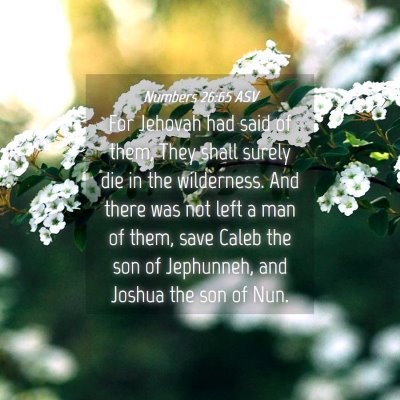 Picture 04 - Numbers 26:65 ASV - For Jehovah had said of them, They shall surely - Bible Verse Picture