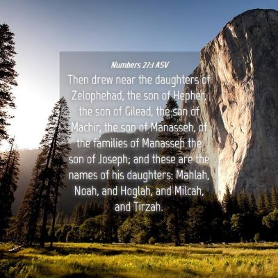 Picture 04 - Numbers 27:1 ASV - Then drew near the daughters of Zelophehad, the - Bible Verse Picture