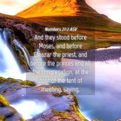 Picture 04 - Numbers 27:2 ASV - And they stood before Moses, and before Eleazar - Bible Verse Picture