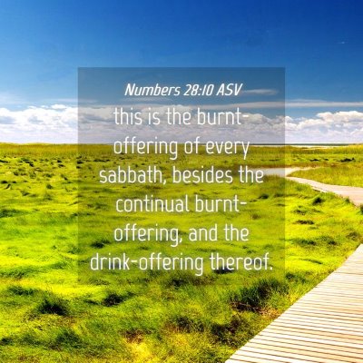 Picture 04 - Numbers 28:10 ASV - this is the burnt-offering of every sabbath, - Bible Verse Picture