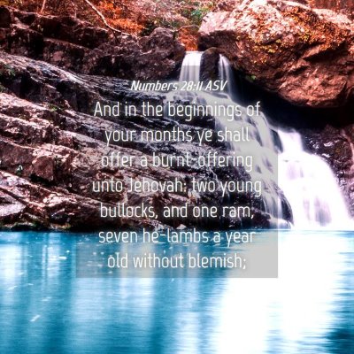 Picture 04 - Numbers 28:11 ASV - And in the beginnings of your months ye shall - Bible Verse Picture