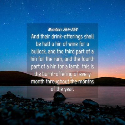 Picture 04 - Numbers 28:14 ASV - And their drink-offerings shall be half a hin of - Bible Verse Picture