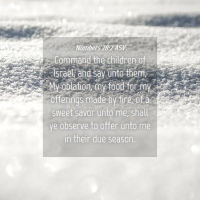 Picture 04 - Numbers 28:2 ASV - Command the children of Israel, and say unto - Bible Verse Picture