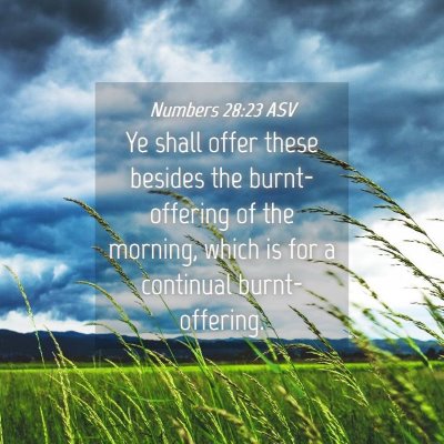 Picture 04 - Numbers 28:23 ASV - Ye shall offer these besides the burnt-offering - Bible Verse Picture