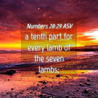 Picture 04 - Numbers 28:29 ASV - a tenth part for every lamb of the seven - Bible Verse Picture