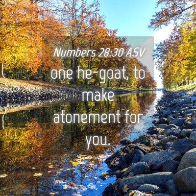 Picture 04 - Numbers 28:30 ASV - one he-goat, to make atonement for - Bible Verse Picture
