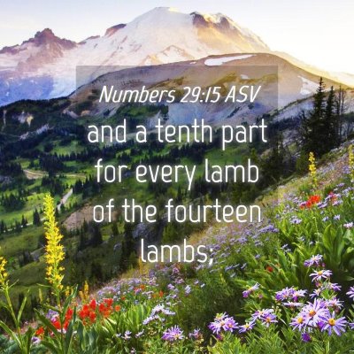 Picture 04 - Numbers 29:15 ASV - and a tenth part for every lamb of the fourteen - Bible Verse Picture
