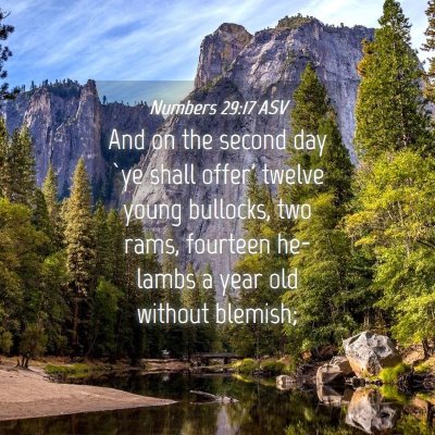 Picture 04 - Numbers 29:17 ASV - And on the second day `ye shall offer' twelve - Bible Verse Picture