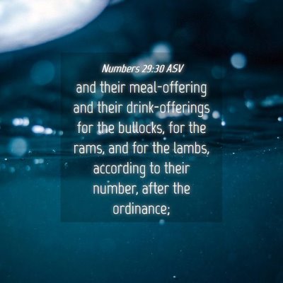 Picture 04 - Numbers 29:30 ASV - and their meal-offering and their drink-offerings - Bible Verse Picture