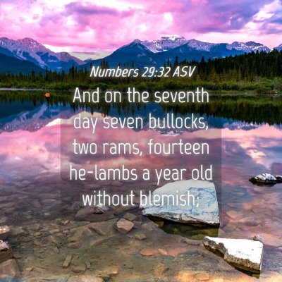 Picture 04 - Numbers 29:32 ASV - And on the seventh day seven bullocks, two rams, - Bible Verse Picture
