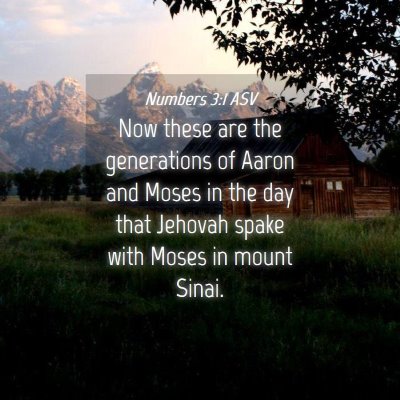 Picture 04 - Numbers 3:1 ASV - Now these are the generations of Aaron and Moses - Bible Verse Picture