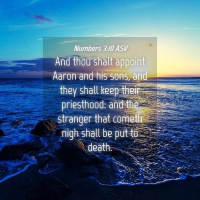 Picture 04 - Numbers 3:10 ASV - And thou shalt appoint Aaron and his sons, and - Bible Verse Picture