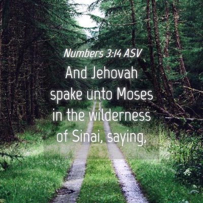 Picture 04 - Numbers 3:14 ASV - And Jehovah spake unto Moses in the wilderness of - Bible Verse Picture