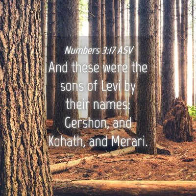 Picture 04 - Numbers 3:17 ASV - And these were the sons of Levi by their names: - Bible Verse Picture