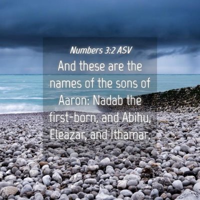Picture 04 - Numbers 3:2 ASV - And these are the names of the sons of Aaron: - Bible Verse Picture