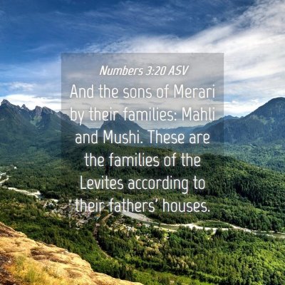 Picture 04 - Numbers 3:20 ASV - And the sons of Merari by their families: Mahli - Bible Verse Picture