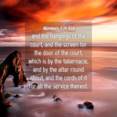 Picture 04 - Numbers 3:26 ASV - and the hangings of the court, and the screen for - Bible Verse Picture