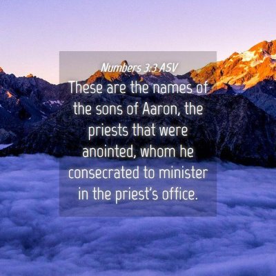Picture 04 - Numbers 3:3 ASV - These are the names of the sons of Aaron, the - Bible Verse Picture
