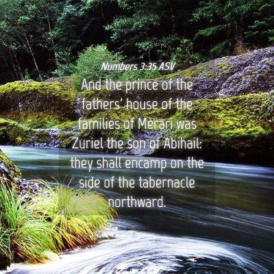 Picture 04 - Numbers 3:35 ASV - And the prince of the fathers' house of the - Bible Verse Picture