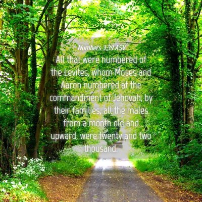 Picture 04 - Numbers 3:39 ASV - All that were numbered of the Levites, whom Moses - Bible Verse Picture