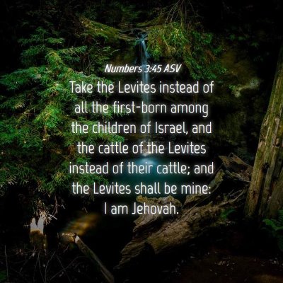 Picture 04 - Numbers 3:45 ASV - Take the Levites instead of all the first-born - Bible Verse Picture