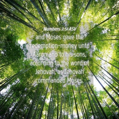Picture 04 - Numbers 3:51 ASV - and Moses gave the redemption-money unto Aaron - Bible Verse Picture