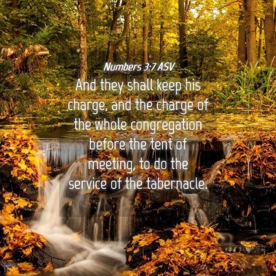 Picture 04 - Numbers 3:7 ASV - And they shall keep his charge, and the charge of - Bible Verse Picture