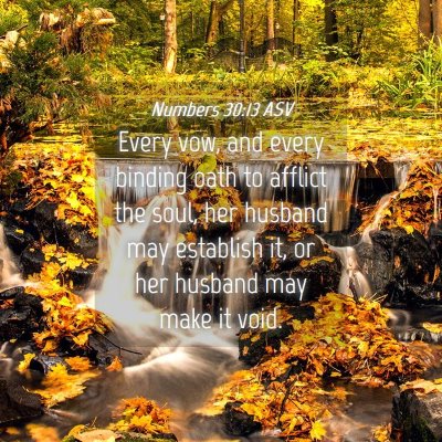 Picture 04 - Numbers 30:13 ASV - Every vow, and every binding oath to afflict the - Bible Verse Picture
