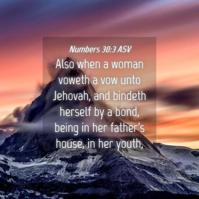Picture 04 - Numbers 30:3 ASV - Also when a woman voweth a vow unto Jehovah, and - Bible Verse Picture
