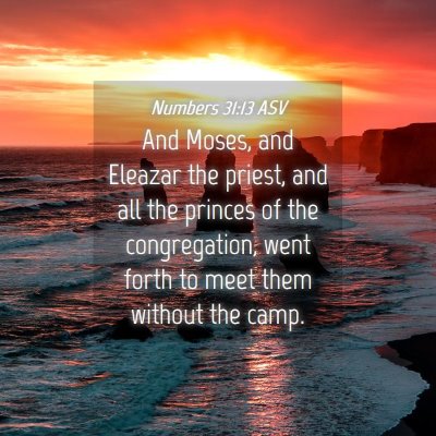 Picture 04 - Numbers 31:13 ASV - And Moses, and Eleazar the priest, and all the - Bible Verse Picture