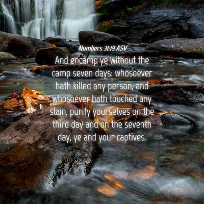 Picture 04 - Numbers 31:19 ASV - And encamp ye without the camp seven days: - Bible Verse Picture