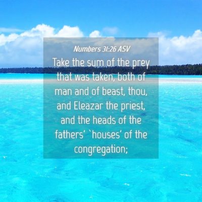 Picture 04 - Numbers 31:26 ASV - Take the sum of the prey that was taken, both of - Bible Verse Picture