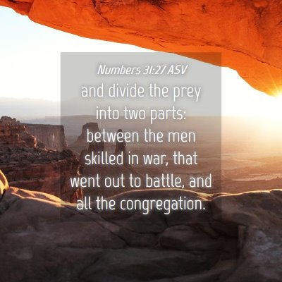 Picture 04 - Numbers 31:27 ASV - and divide the prey into two parts: between the - Bible Verse Picture