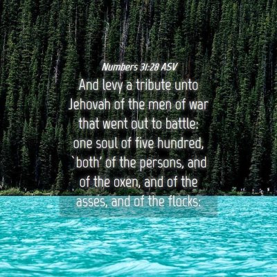 Picture 04 - Numbers 31:28 ASV - And levy a tribute unto Jehovah of the men of war - Bible Verse Picture