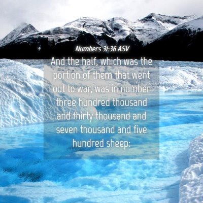 Picture 04 - Numbers 31:36 ASV - And the half, which was the portion of them that - Bible Verse Picture